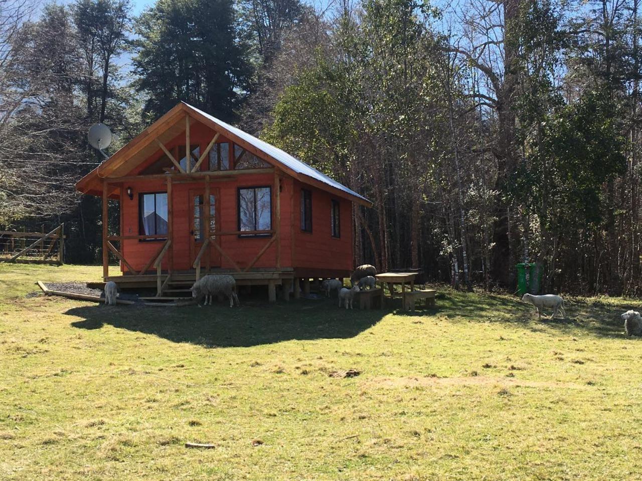 Cabanas Los Canelos Hermosa Granja En Pucon Exterior photo